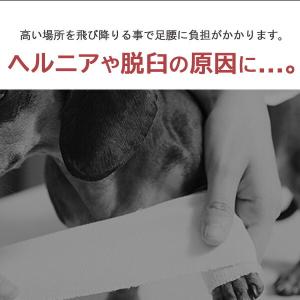 DEOPLLAE ハニービー ノンスリップ ス...の詳細画像2