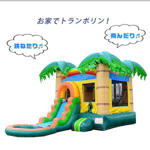 /お取り寄せ/Hero Kiddo トロピカル...の詳細画像2