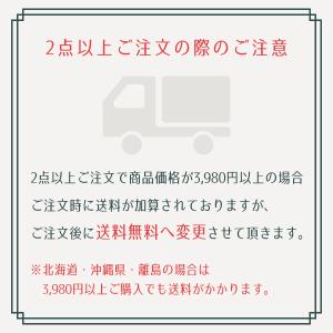 ハウスナンバー 高さ15.2cm 6inch ...の詳細画像1