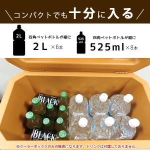 クーラーボックス アイスマスター Day+ 3...の詳細画像5