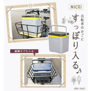 クーラーボックス 小型 アイスマスター アイス...の詳細画像2