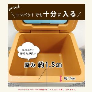 クーラーボックス 小型 アイスマスター マスタ...の詳細画像5