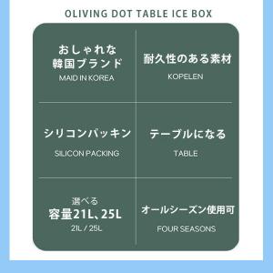 クーラーボックス 小型 OLIVING ドット...の詳細画像4