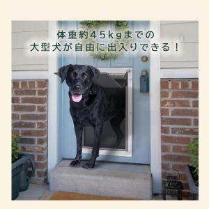 /お取り寄せ/Baboni 3フラップ ペット...の詳細画像1