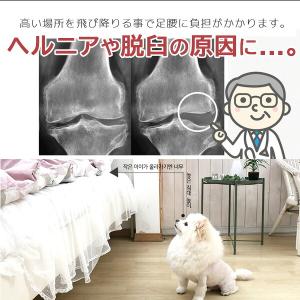 Pets mamma 折りたたみ スロープ M...の詳細画像2