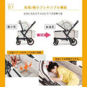 Pompolarr ポンポラー F2 プレミア...の詳細画像5