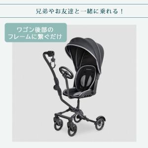 /お取り寄せ/ワンダーフォールド バディ ライ...の詳細画像3