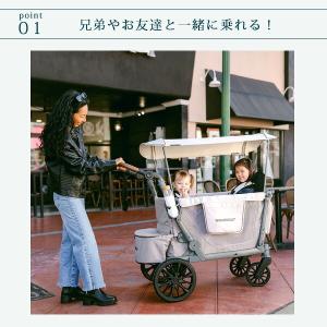 ワンダーフォールド L2 ダブル ストローラー...の詳細画像4