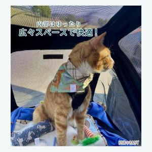 /お取り寄せ/ワンダーフォールド PF フラッ...の詳細画像5