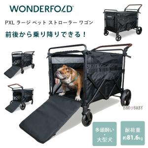 AIRBUGGY CARRIAGE ルーフ+キャリッジ フルセット キャリッジ
