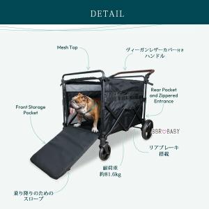 /お取り寄せ/ワンダーフォールド PXL ラー...の詳細画像3
