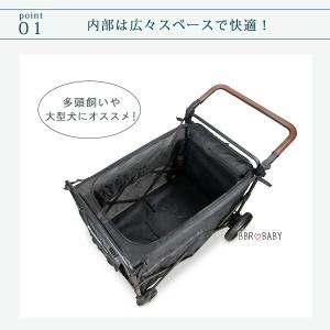 /お取り寄せ/ワンダーフォールド PXL ラー...の詳細画像4
