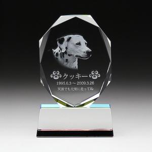 ペット位牌 ペットセット仏具 中 遺影彫刻 ペ...の詳細画像1