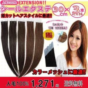 シールエクステ 人毛100% 38cm 6本セット(1本約2.4g) sl-039 シールエクステ 人毛100% 38cm 6本セット(1本約2.4g) sl-039