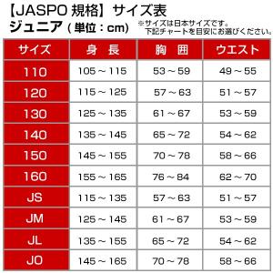 野球 スライディングパンツ ジュニア ミズノ ...の詳細画像4