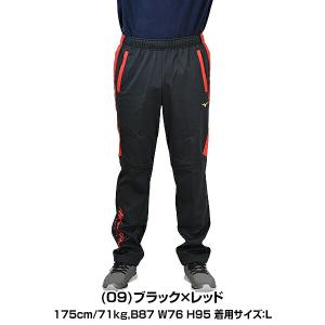365日出荷 ミズノプロ 野球 テックシールド...の詳細画像2