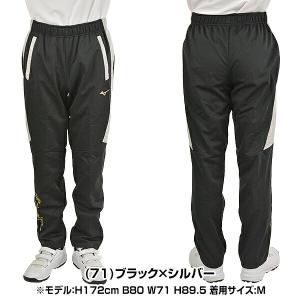 365日出荷 ミズノプロ 野球 テックシールド...の詳細画像3