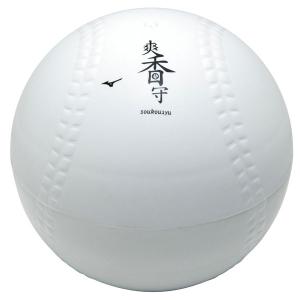 ミズノ 野球 爽香守 ボール型ケースお手入れセ...の詳細画像1