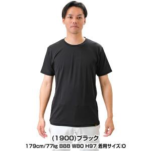 野球 アンダーシャツ 大人 半袖 丸首 ゆった...の詳細画像3