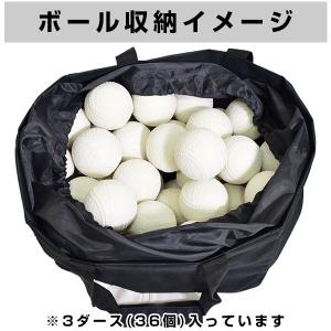 365日出荷 野球 ボールケース オリジナル ...の詳細画像5