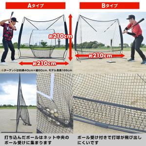 2026 当たる!飛ぶ!入団準備スターターキッ...の詳細画像3