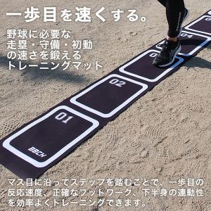 レビューで6ヶ月保証 野球 練習 アジリティ&...の詳細画像3