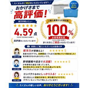 保冷剤付き 小型クーラーボックス 6L 8L ...の詳細画像2