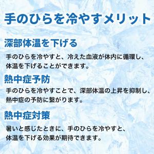 クールフィットグローブ 片手用(1個売り) ア...の詳細画像3