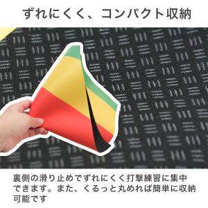 レビューで6ヶ月保証 野球 練習 カラーターゲ...の詳細画像5