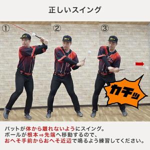 レビューで6ヶ月延長保証 野球 練習 インパク...の詳細画像4