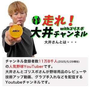 野球 願いが叶う!?伝説のグローブ型付け専用ボ...の詳細画像2