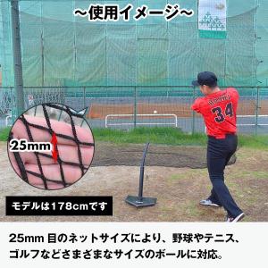 野球 練習 防球ネット 約5×5m カラビナ ...の詳細画像2