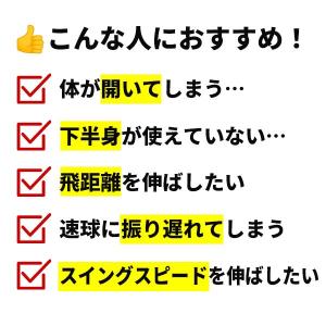 野球 練習 メディシンボール 1-3kg 14...の詳細画像3