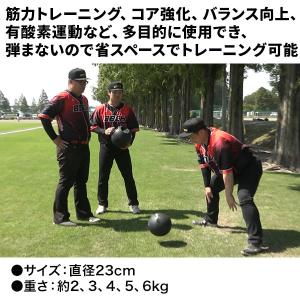 レビューで6ヶ月延長保証 メディシンボール 非...の詳細画像5