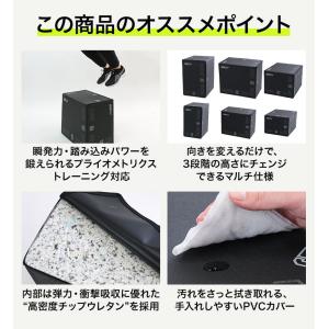 プライオボックス 野球 練習 トレーニング プ...の詳細画像2
