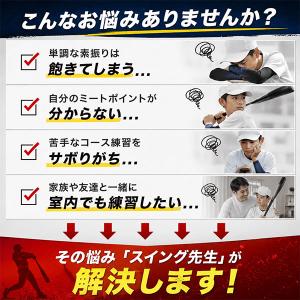 レビューで6ヶ月保証 スイング先生 野球 練習...の詳細画像1