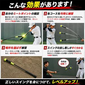 レビューで6ヶ月保証 スイング先生 野球 練習...の詳細画像3
