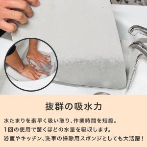 野球 グランド整備 吸水スポンジ 10枚入 大...の詳細画像2