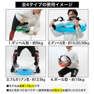 着色剤付き ウォーターバッグ 6タイプ 5-3...の詳細画像2
