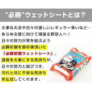 必勝祈願済 2個セット 当店オリジナル 野球用...の詳細画像1