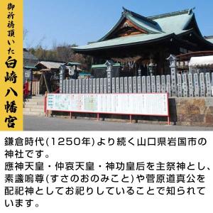 必勝祈願済 2個セット 当店オリジナル 野球用...の詳細画像4
