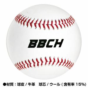 野球 硬式練習球 1ダース(12個) バッティ...の詳細画像1