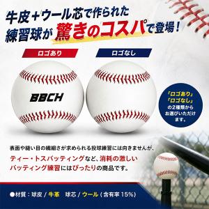 野球 硬式練習球 1ダース(12個) バッティ...の詳細画像1