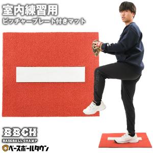 野球 投球練習用 室内用 置くだけピッチャープレ...の商品画像