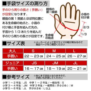 交換無料 野球 バッティンググローブ 両手 ゼ...の詳細画像5