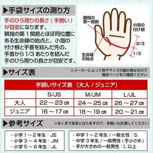 交換無料 野球 バッティンググローブ 大人 両...の詳細画像4