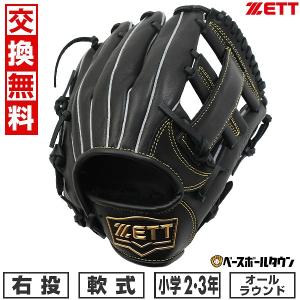 ゼット ZETT(ゼット) 硬式野球用グラブ ネオステイタス 投手用