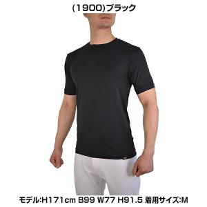 365日出荷 野球 アンダーシャツ 大人 半袖...の詳細画像3