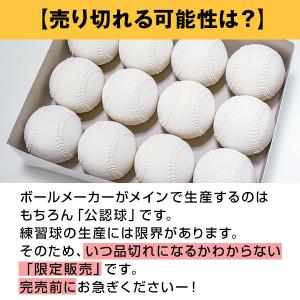 365日出荷 安心の日本製 激安軟式練習球 J...の詳細画像5