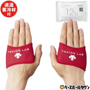 デサント クーリング手袋 大人 適温蓄冷材付き 両手用 コアクーラー 手ぶくろ 夏用 ひんやり 涼しい 冷感 冷却 TEKIONグローブ DAT-9000 一般用